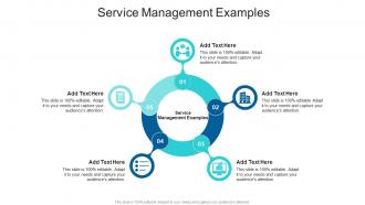 Service Management Examples In Powerpoint And Google Slides Cpb