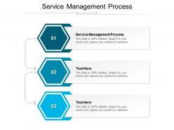 Service management process ppt powerpoint presentation professional brochure cpb