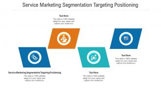 Service marketing partition targeting positioning ppt powerpoint presentation inspiration styles cpb