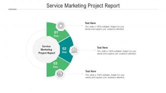 Service marketing project report ppt powerpoint presentation professional show cpb