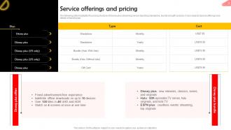 Service Offerings And Pricing Online Streaming Service Company Profile CP SS V