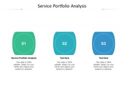 Service portfolio analysis ppt powerpoint presentation pictures design ideas cpb