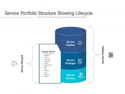 Service portfolio structure showing lifecycle