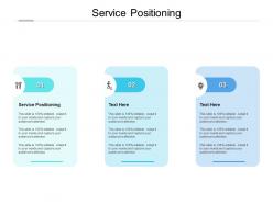 Service positioning ppt powerpoint presentation show example cpb
