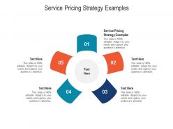 Service pricing strategy examples ppt powerpoint presentation ideas designs cpb