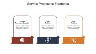 Service processes examples ppt powerpoint presentation pictures inspiration cpb