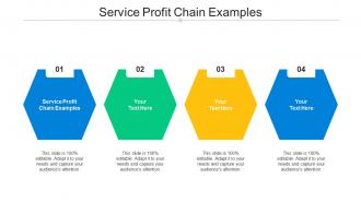 Service profit chain examples ppt powerpoint presentation inspiration gallery cpb