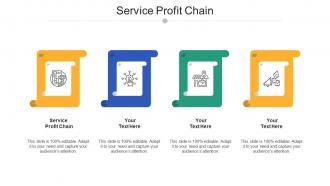 Service profit chain ppt powerpoint presentation ideas example file cpb