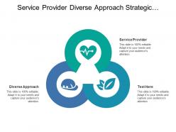 Service provider diverse approach strategic planning business result