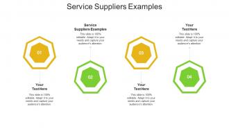 Service suppliers examples ppt powerpoint presentation infographics master slide cpb
