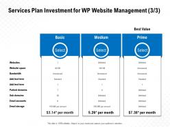 Services plan investment for wp website management ppt powerpoint presentation rules
