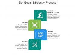 Set goals efficiently process ppt powerpoint presentation portfolio slide portrait cpb