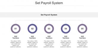 Set Payroll System Ppt Powerpoint Presentation Infographic Template Demonstration Cpb