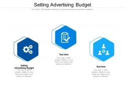 Setting advertising budget ppt powerpoint presentation styles shapes cpb