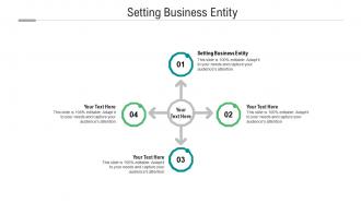 Setting business entity ppt powerpoint presentation show ideas cpb