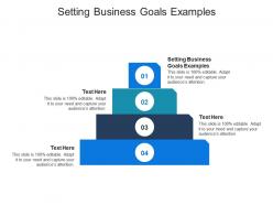 Setting business goals examples ppt powerpoint presentation gallery layout cpb