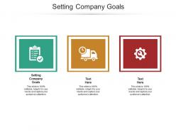 Setting company goals ppt powerpoint presentation inspiration portrait cpb