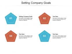 Setting company goals ppt powerpoint presentation layouts slideshow cpb