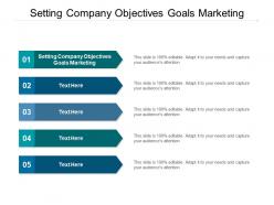Setting company objectives goals marketing ppt powerpoint presentation infographic template format ideas cpb