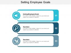 Setting employee goals ppt powerpoint presentation icon master slide cpb