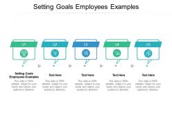 Setting goals employees examples ppt powerpoint presentation professional cpb