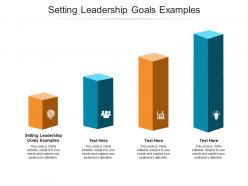 Setting leadership goals examples ppt powerpoint presentation gallery graphics tutorials cpb
