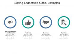 Setting leadership goals examples ppt powerpoint presentation layouts gallery cpb