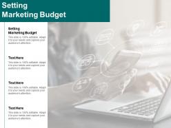 Setting marketing budget ppt powerpoint presentation inspiration infographics cpb