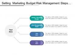 setting_marketing_budget_risk_management_steps_model_bcg_cpb_Slide01