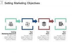 Setting marketing objectives ppt powerpoint presentation infographic template design templates cpb