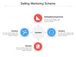 Setting mentoring scheme ppt powerpoint presentation show diagrams cpb