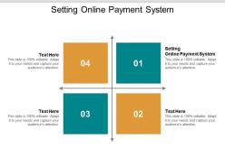 Setting online payment system ppt powerpoint presentation icon show cpb