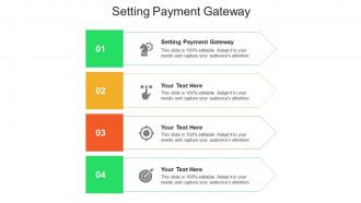Setting payment gateway ppt powerpoint presentation icon show cpb