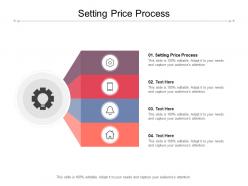 Setting price process ppt powerpoint presentation summary background image cpb