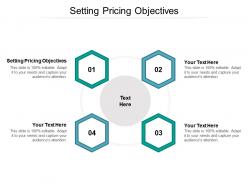 Setting pricing objectives ppt powerpoint presentation portfolio slide cpb