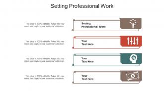 Setting professional work ppt powerpoint presentation visual aids model cpb