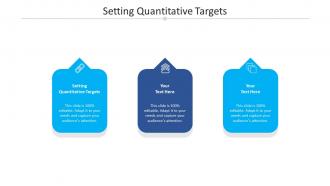 Setting quantitative targets ppt powerpoint presentation professional slideshow cpb