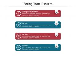 Setting team priorities ppt powerpoint presentation professional samples cpb