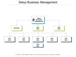 Setup business management ppt powerpoint presentation slides layout ideas cpb