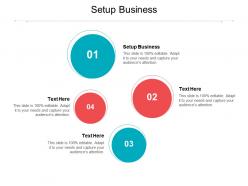 Setup business ppt powerpoint presentation outline graphics design cpb