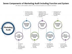Seven Components Of Marketing Audit Including Function And System