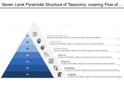 Seven level pyramidal structure of taxonomy covering flow of process stages