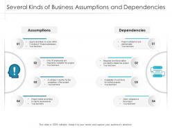 Several kinds of business assumptions and dependencies