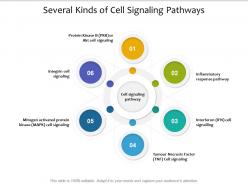 Several kinds of cell signaling pathways