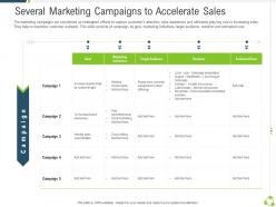 Several marketing campaigns to accelerate sales company expansion through organic growth ppt grid