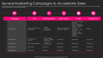 Several Marketing Campaigns To Accelerate Sales Franchise Marketing Playbook