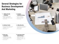 Several strategies for business development and marketing