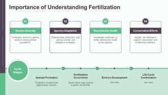Sexual Reproduction Process And Fertilization PPT Demonstration AT Graphical Slides