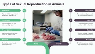 Sexual Reproduction Process And Fertilization PPT Demonstration AT Aesthatic Slides