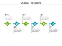 Shallow processing ppt powerpoint presentation show icons cpb